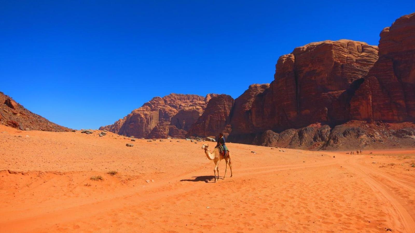 Wadi Rum Magic Nature Camp Buitenkant foto